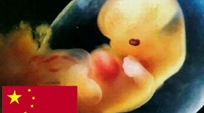 09_jul_abortochina090712.jpg ?? 