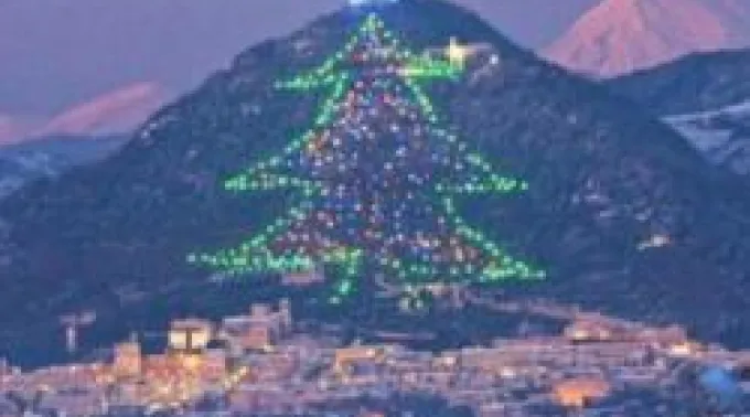 15NOVcerroarbol.jpg ?? 