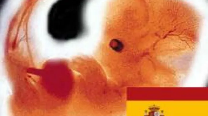 15_DIC__abortoespana.jpg ?? 