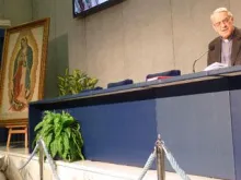 Padre Federico Lombardi.