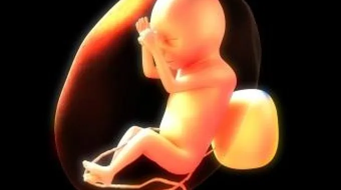 17_ene_abortoselectivo.jpg ?? 