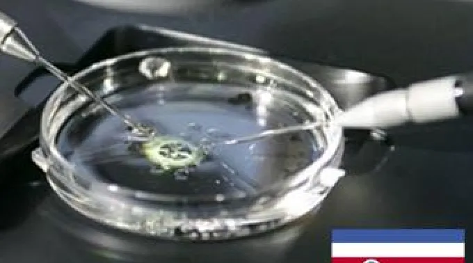 21_NOV_invitrocostarica.jpg ?? 