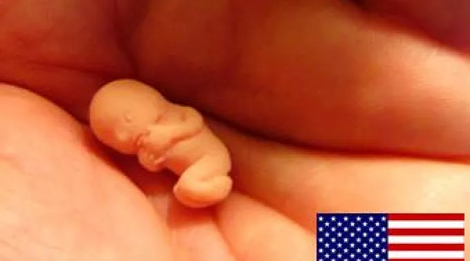 21_feb_abortousa210212.jpg ?? 