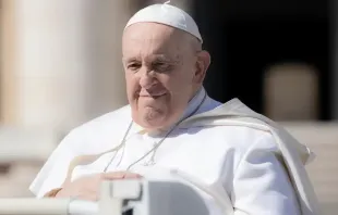 Papa Francisco na Audiência Geral