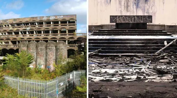 250121_SeminarioAbadonadoBosqueEsocia.jpeg.jpg ?? 