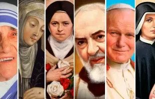 Santa Teresa de Calcutá, santa Catarina de Sena, santa Teresinha do Menino Jesus, são Pio de Pietrelcina, são João Paulo II e santa Faustina Kowalska viveram o exemplo da Divina Misericórdia de Cristo