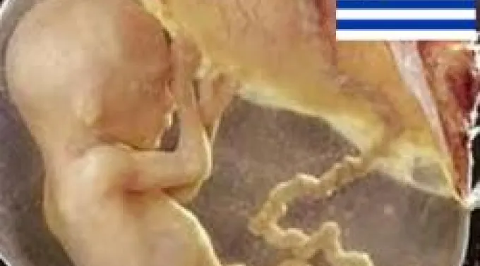 28_NOV_abortouruguay.jpg ?? 