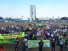 15ª Marcha pela Vida em Brasília. Foto: Facebook