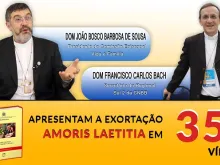Apresentação da coletânea de vídeos sobre Amoris Laetitia. Imagem: Regional Sul 2 da CNBB