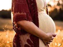 Imagem referencial. Crédito: Unsplash.