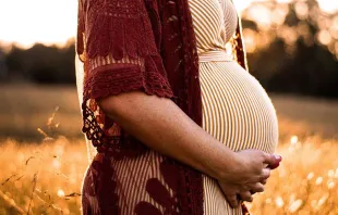 Imagem referencial. Crédito: Unsplash.