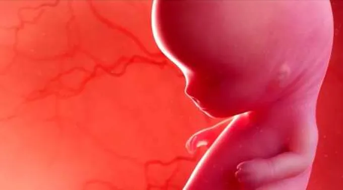 AbortoDocumentalSuperBowl_070221.jpg ?? 