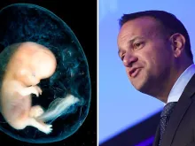 Embrião de 8 a 10 semanas (esquerda) - Crédito: Steven O'Connor, M.D., Houston Texas; e o Primeiro-Ministro da Irlanda, Leo Varadkar (direita) - Crédito: Flickr of Money Cof (CC BY 2.0)