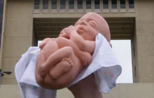 Representação de um bebê no ventre ante o Congresso do Chile 
