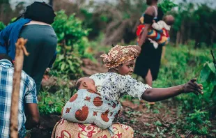 Imagem referencial. Crédito: Unsplash.