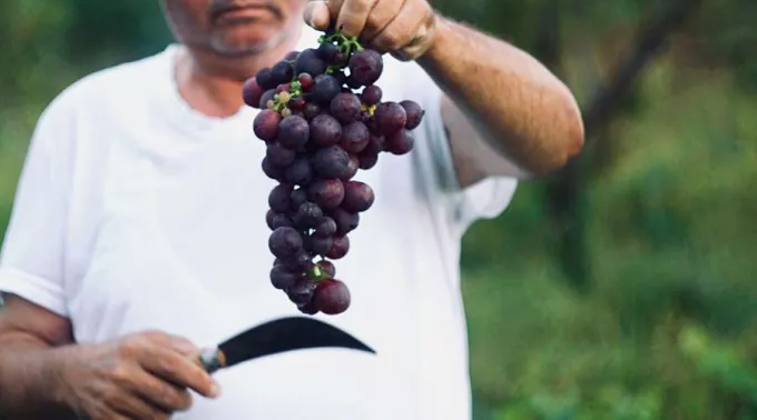 AgricultorCatolico_Unsplash_140419.jpg ?? 