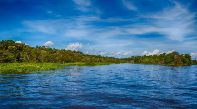 Amazonia-FlavizGuerra-Wikipedia-CC-BY-SA-3.0-23102019.jpg ?? 