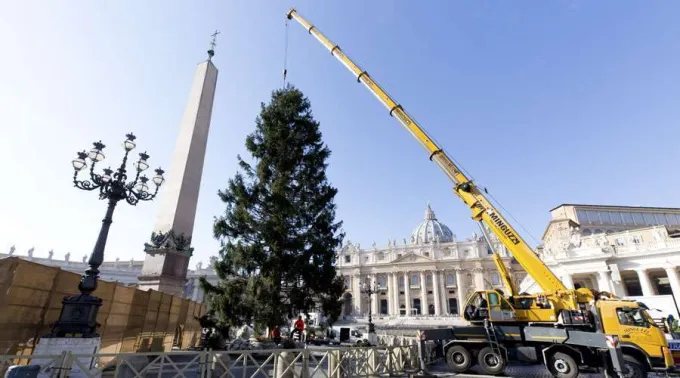 ArbolNavidadSanPedro_Vaticano_DanielIbanez_ACIPrensa_23112017.jpg ?? 