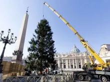 Instalação da árvore de Natal no Vaticano em 2017.