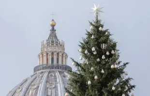 Árvore de Natal no Vaticano