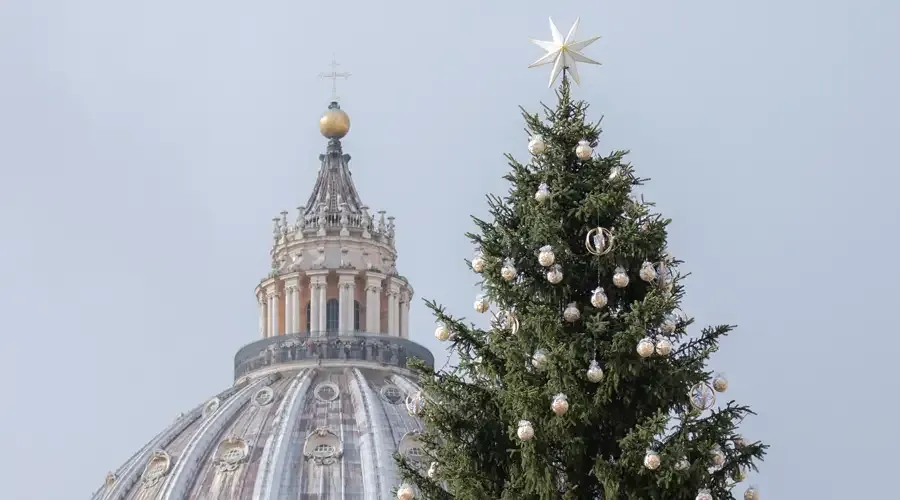 Papa Francisco fala do significado da árvore de Natal