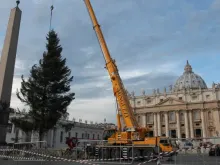 Instalação da Árvore de Natal na Praça de São Pedro, no Vaticano.