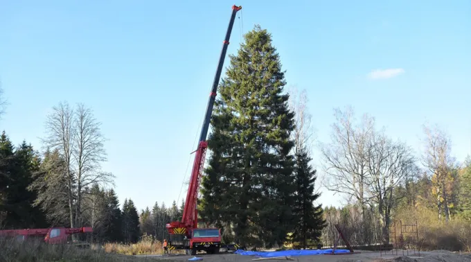 ArbolNavidad_Polandpl_211117.jpg ?? 