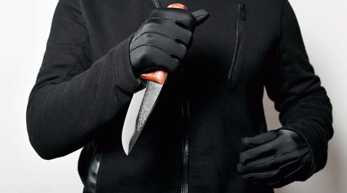 Asesinados600Nigeria_Pixabay_200520.gif ?? 