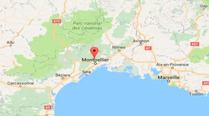 AtentadoFrancia24112016_twitter.jpg ?? 