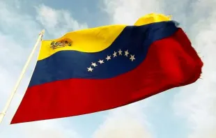 Bandeira da Venezuela.