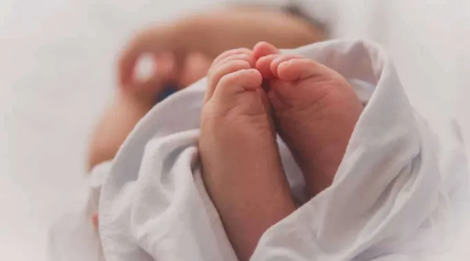 Bebe-Luma-Pimentel-Unsplash-050121.jpg ?? 