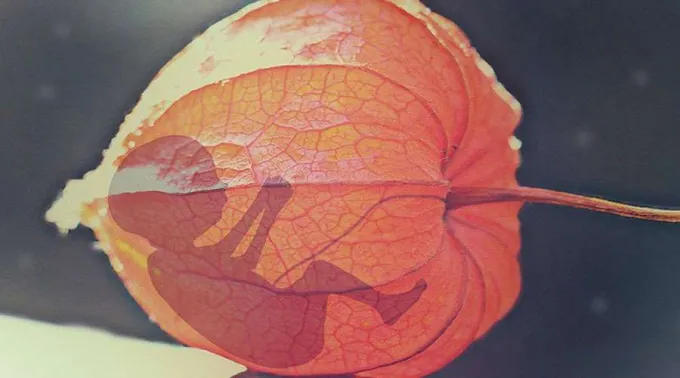 Bebe-Maxpixels-18072019.jpg ?? 