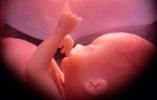 Bebê de 30 semanas no ventre materno.