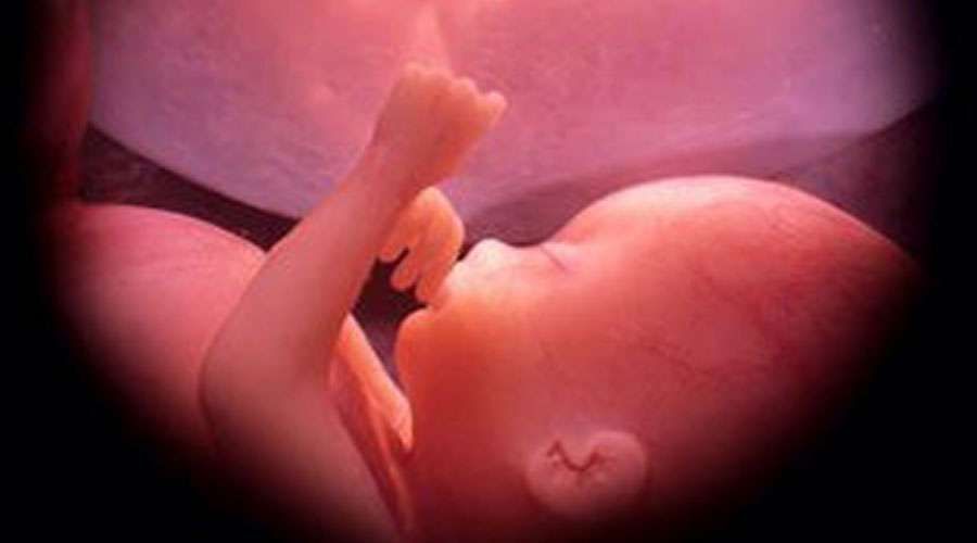  Justiça suspende resolução do CFM que proíbe abortos tardios 