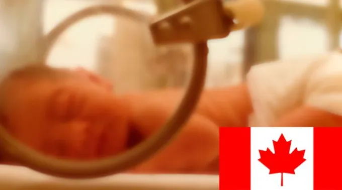 Bebe_AutorJacoplane_CC_BY-SA_3.0.jpg ?? 