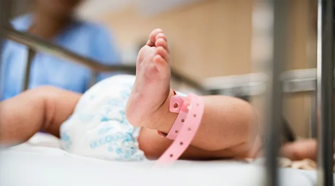 Bebe_Unsplash_310118.jpg ?? 