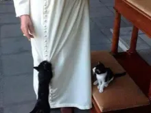 Bento XVI com dois gatos