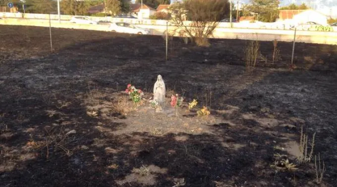 CLaF9QKWcAAL2Sy.jpg ?? 