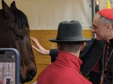 Cardeal Mauro Gambetti abençoa um cavalo