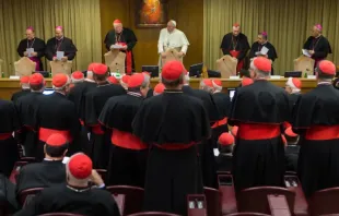 Consistório ordinário em 2014