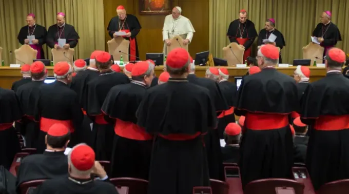 Cardeais7622.webp ?? 