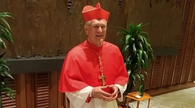 Cardeal-Leonardo-Steiner-e1662090174408.jpg ?? 