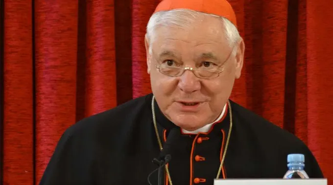 Cardenal-Gerhard-Muller-Union-Seglar-25062019.jpg ?? 