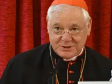 Cardeal Gerhard Müller, Prefeito Emérito da Congregação para a Doutrina da Fé. Crédito: Unión Seglar