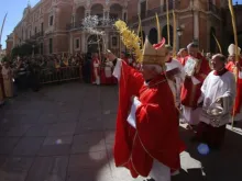 Cardeal Antonio Cañizares durante o Domingo de Ramos 