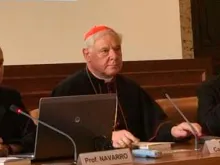 Cardeal Gerhard Müller durante a apresentação do seu livro 