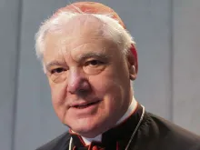 Cardeal Gerhard Müller. Crédito: Daniel Ibáñez