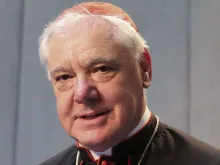 Cardeal Gerhard Müller, Prefeito Emérito da Congregação para a Doutrina da Fé 