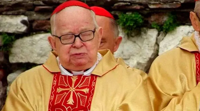 CardenalPolaco-VytvoYeno-CC-BY-2.0-07112020.jpg ?? 