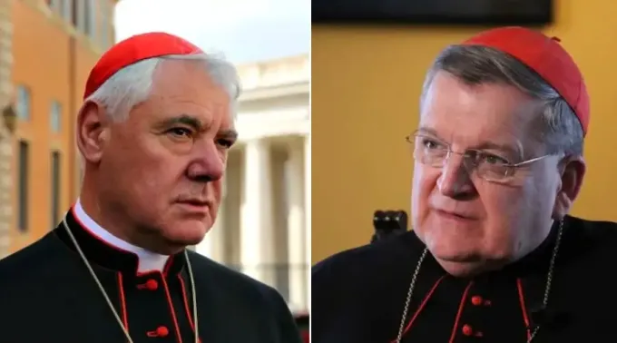 Cardenales-contra-obispos-alemanes---marzo-2023.jpg ?? 